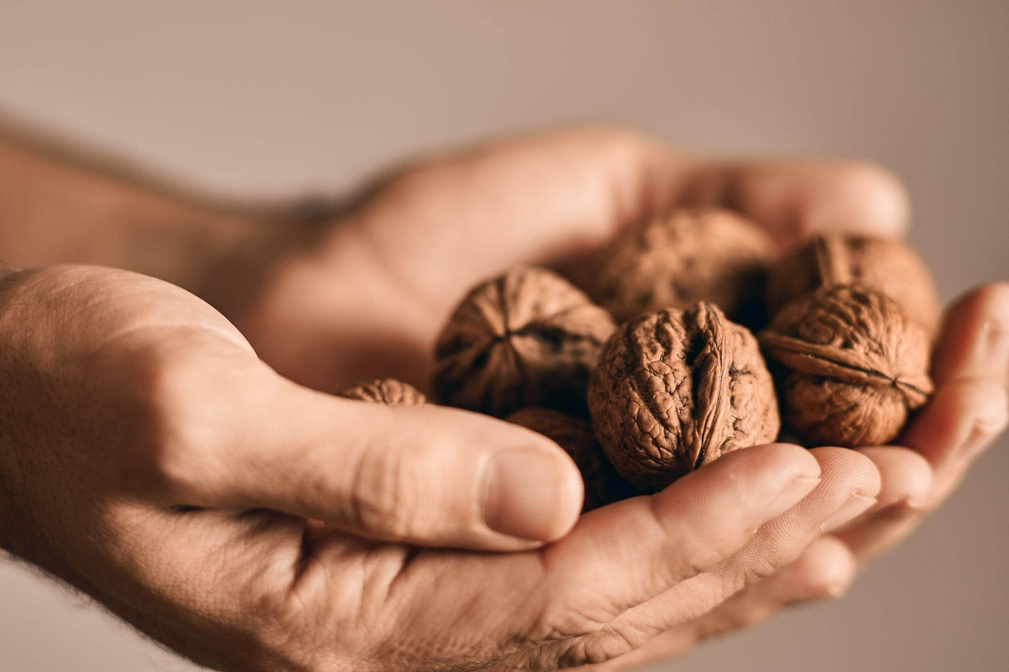 Mãos masculinas segurando uma porção de nozes inteiras. O consumo regular de oleaginosas fornece gorduras boas que auxiliam diretamente na prevenção de doenças do coração.